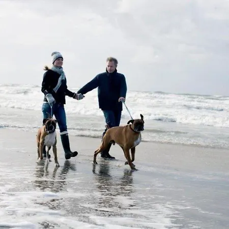 Campingplatz Klit Caravans *