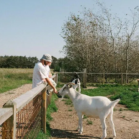 Campingplatz Klit Caravans *